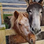 Casa vacanze Eden House And Pet Farm Feevaghmore