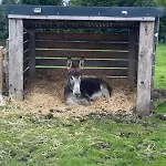 Casa vacanze Eden House And Pet Farm
