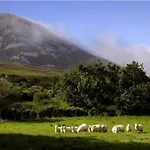 Casa vacanze Eden House And Pet Farm Feevaghmore