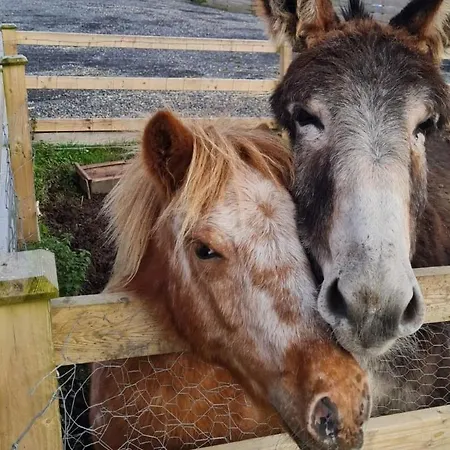 別荘 Eden House And Pet Farm Feevaghmore