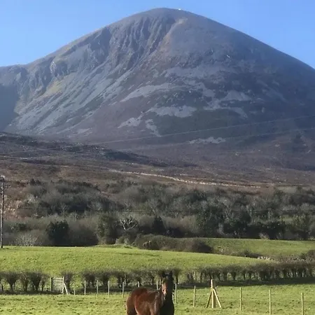 Eden House And Pet Farm 펜션 Feevaghmore