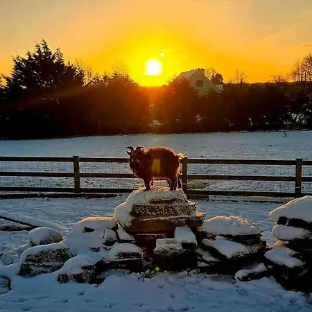 Eden House And Pet Farm 펜션 Feevaghmore