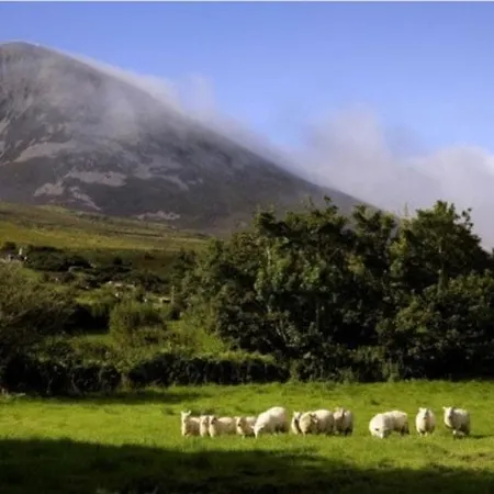 Holiday home Eden House And Pet Farm Feevaghmore