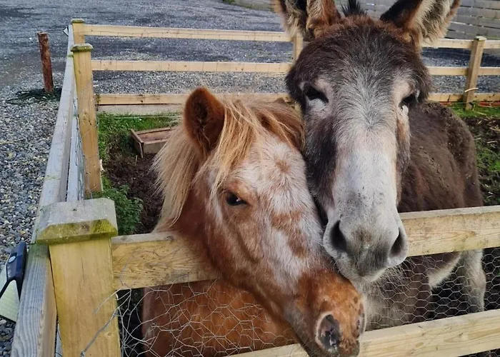 Сasa de vacaciones Eden House And Pet Farm Feevaghmore