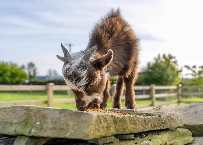 度假居 Eden House And Pet Farm *
