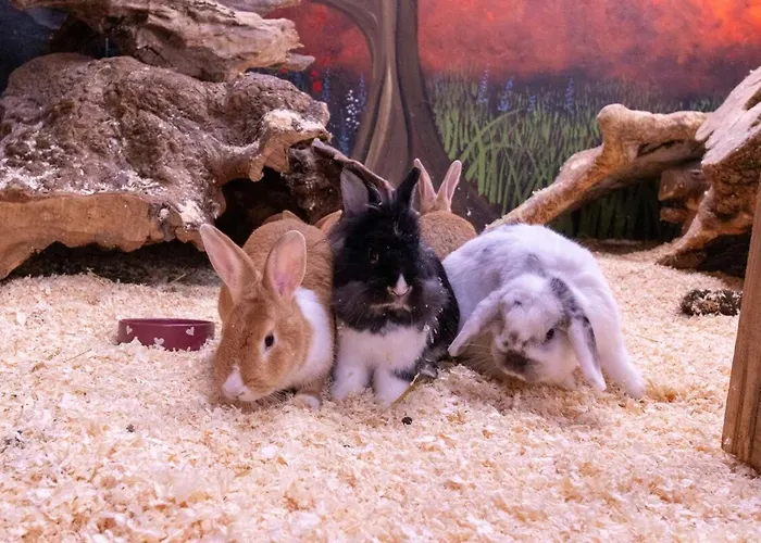 Eden House And Pet Farm *