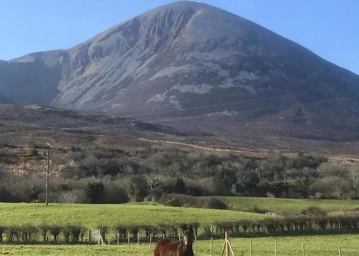 Eden House And Pet Farm Сasa de vacaciones Feevaghmore