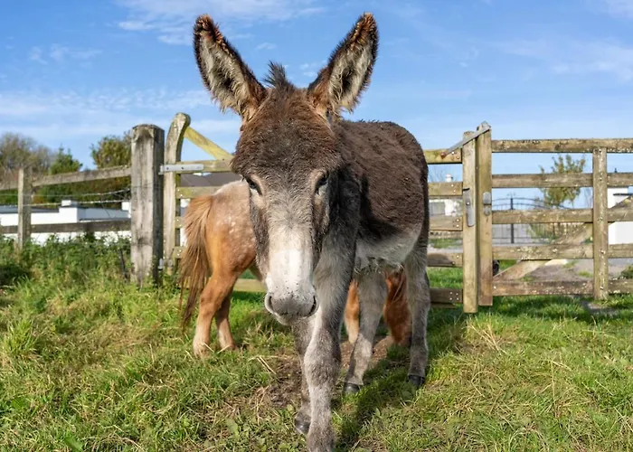 Eden House And Pet Farm Сasa de vacaciones