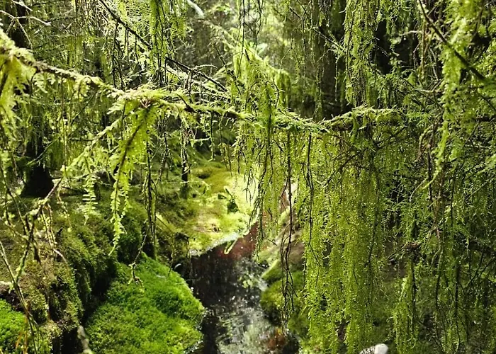 Eden House And Pet Farm