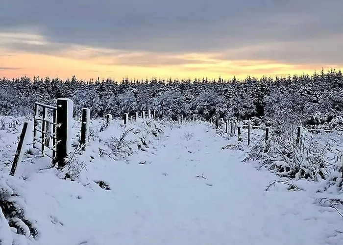 Eden House And Pet Farm 度假居 *