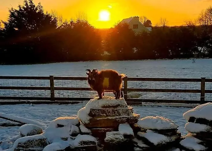 Eden House And Pet Farm 度假居 Feevaghmore