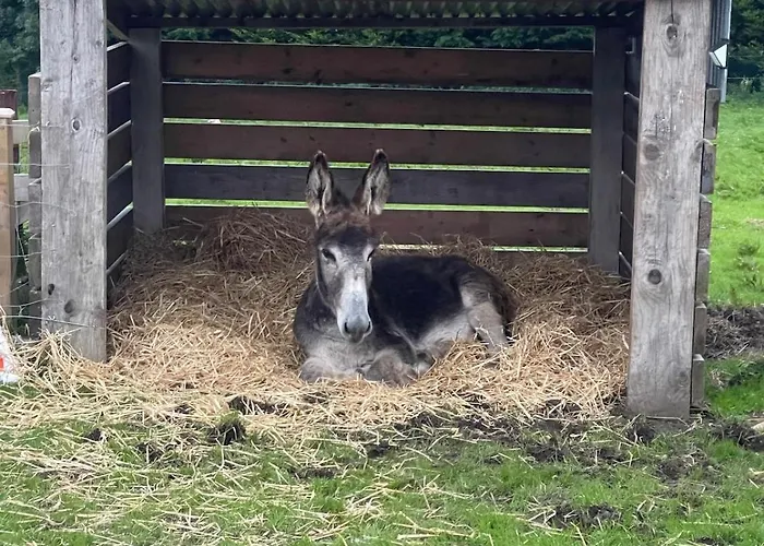 度假居 Eden House And Pet Farm