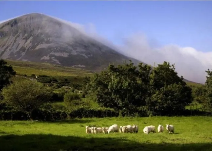 度假居 Eden House And Pet Farm Feevaghmore