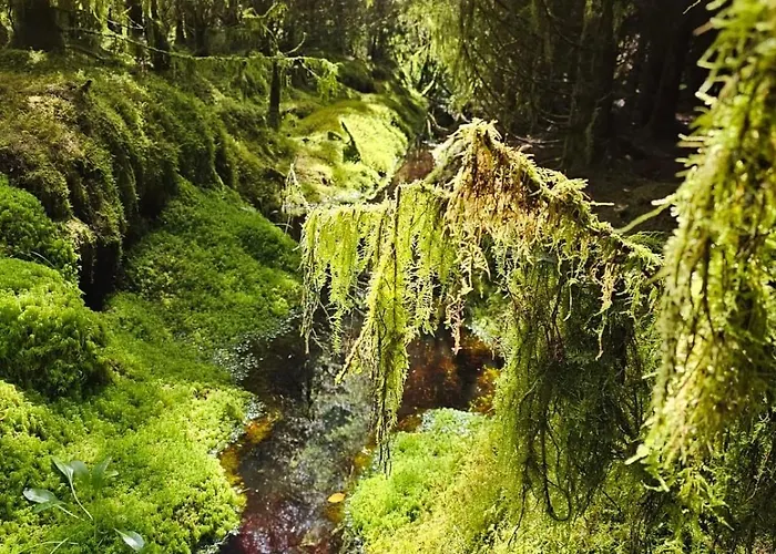 Eden House And Pet Farm 度假居 Feevaghmore